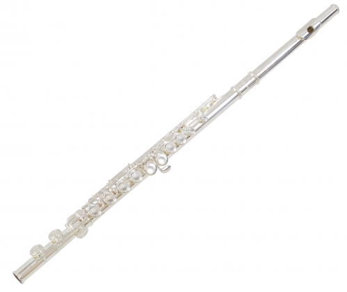 Trevor James 3041-ECD priena flauta s puzdrom