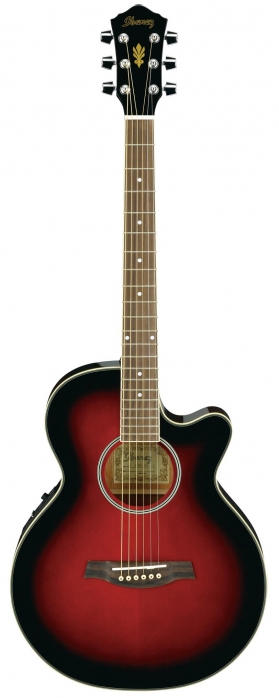 Ibanez AEG8E TRS elektricko-akustick gitara