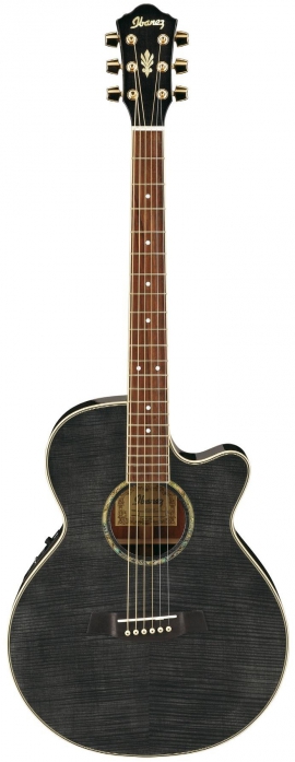 Ibanez AEG20E TG elektricko-akustick gitara