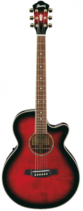 Ibanez AEG20E TRS elektricko-akustick� gitara