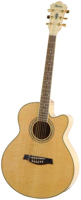 Ibanez AEL 20 E NT elektricko-akustick gitara
