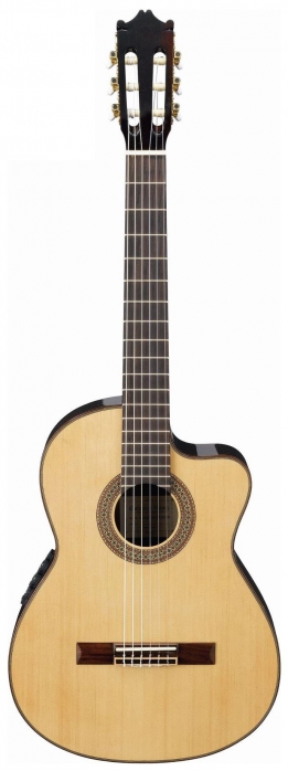 Ibanez G200ECE NT
