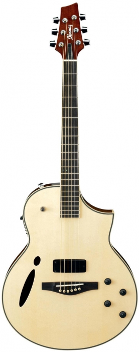 Ibanez MSC350 NT MONTAGE elektricko-akustick gitara