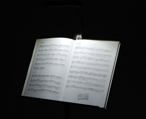 MLight FL-09A 9LEDs lampka diodowa orkiestrowa z pokrowcem (baterie/zasilacz)