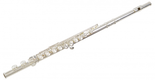 Trevor James 31PF-ECD  priena flauta s puzdrom