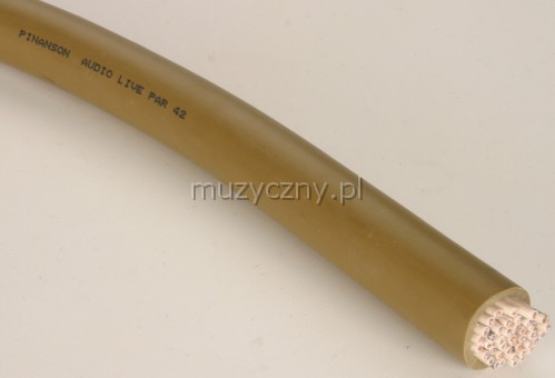 Pinanson 313 multicore audio live 42p