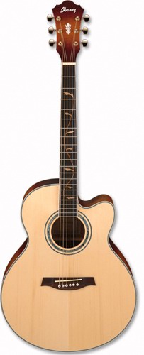 Ibanez AEL40S DVS elektricko-akustick gitara