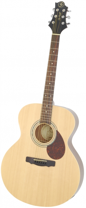 Samick J2 N akustick gitara