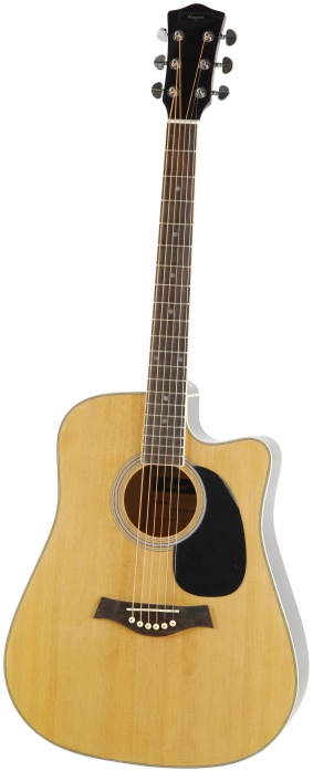 T.Burton Ragent W C N  akustick gitara