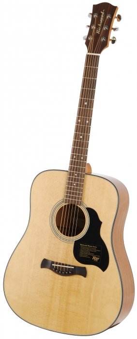 Richwood D40 akustick gitara