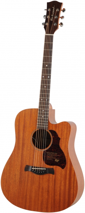 Richwood D-50-CE elektricko-akustick gitara