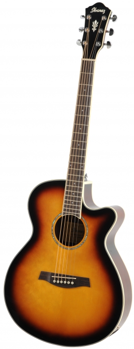 Ibanez AEG 10 II VS elektricko-akustick gitara