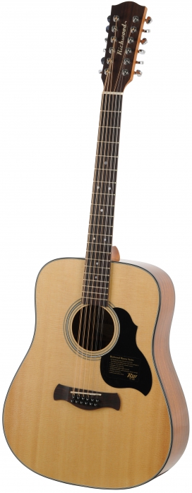 Richwood D-4012 akustick gitara