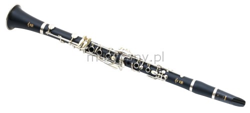 Yamaha YCL 250 klarinet
