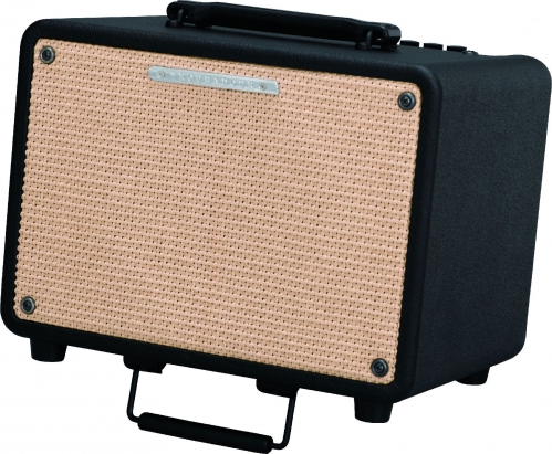 Ibanez T 30 Troubadour  zosil�ova�