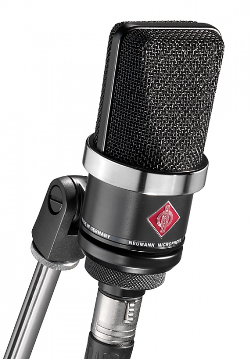 Neumann TLM 102 mikrofn
