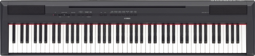 Yamaha P 115B