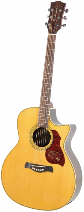 Richwood G-65 CE VA elektricko-akustick gitara