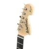 Washburn X10 MGY elektrick gitara
