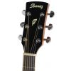 Ibanez PF 17 ECE LG elektricko-akustick gitara