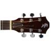 Baton Rouge 12 RD EQ elektricko-akustick gitara
