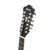 Ibanez AEL 2012 E TKS elektricko-akustick gitara