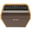 Fender Acoustic SFX 200W zosil�ova� na akustick� gitaru