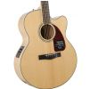 Fender CJ 290 SCE Jumbo elektricko-akustick gitara