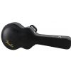 Fender CJ 290 SCE Jumbo elektricko-akustick gitara