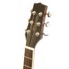 Peavey Briarwood DR-1 akustick gitara