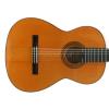Esteve 2GR5F klasick gitara