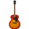 Ibanez SGT 430 E SC akustick gitara