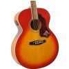 Ibanez SGT 430 E SC akustick gitara