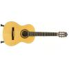 Baton Rouge LMSM klasick� gitara