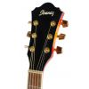 Ibanez SGT 430 E SC akustick gitara