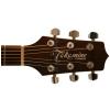 Takamine G320S akustick gitara