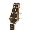 Ibanez ARC500-NT elektrick gitara