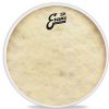 Evans TT16C7 blana na bubon