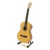 Admira Amiga klasick gitara