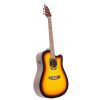 Flycat C100 TSB EQ akustick gitara