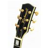 Richwood RE129 BK elektrick gitara