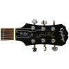 Epiphone Les Paul Standard Plus TA elektrická gitara Epiphone Les Paul Standard Plus TA elektrická gitara