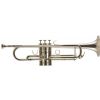 Trevor James TJTR-4500SP Bb trumpet, silver-plated (with case)