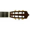 Baton Rouge LMSM klasick� gitara