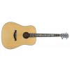Baton Rouge R30 t1 akustick� gitara