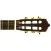 Baton Rouge LMCM klasick gitara