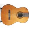 Takamine G116 klasick gitara