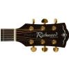 Richwood RD22 CE elektricko-akustick gitara