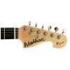Washburn X10 QVS elektrick gitara