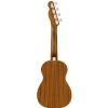 Fender Zuma Nat